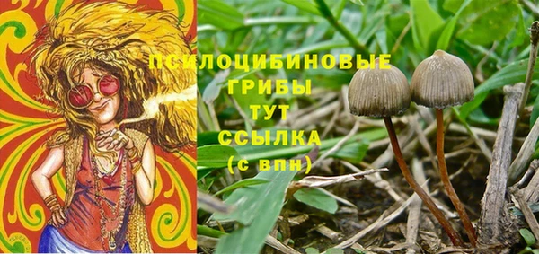 крисы Волосово